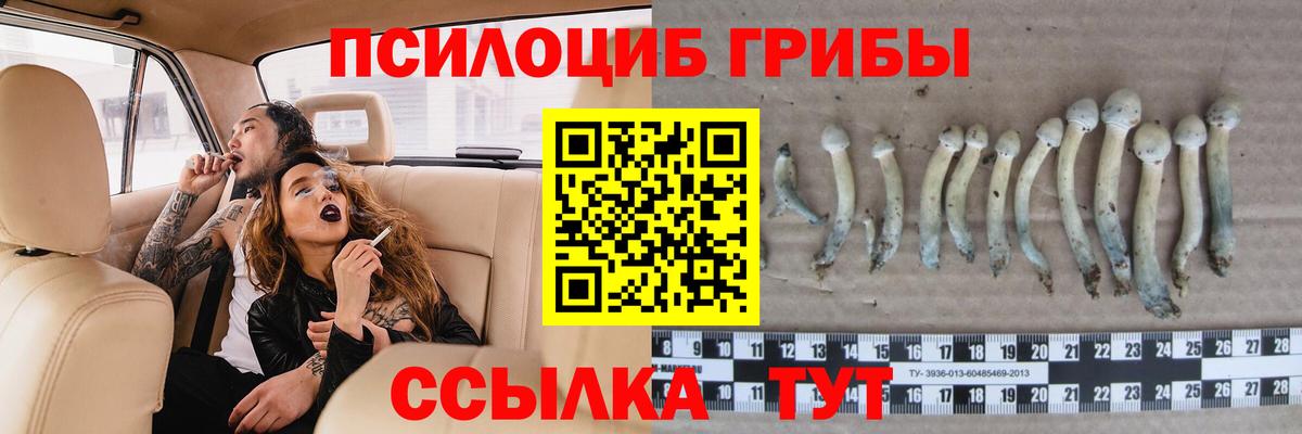 Галлюциногенные грибы мицелий  Вход с VPN  Бутурлиновка 